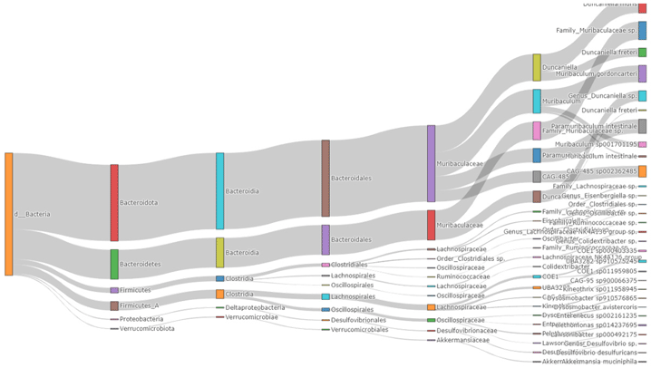 菌種在各分類階層之變化