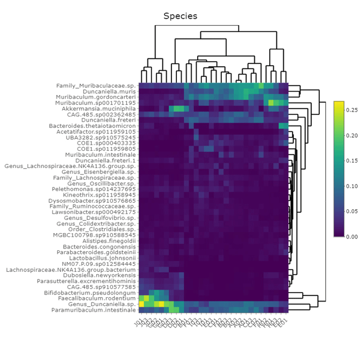 以物種之豐度進行樣品聚類熱圖繪製