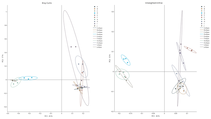 β 多樣性指數計算結果